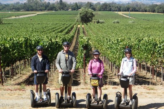 Sonoma County Wine Segway Tour