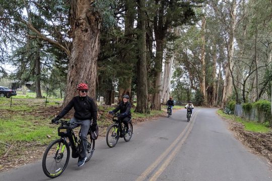 Behind-the-Scenes Food and Wine E-Bike or Regular Bike Tour