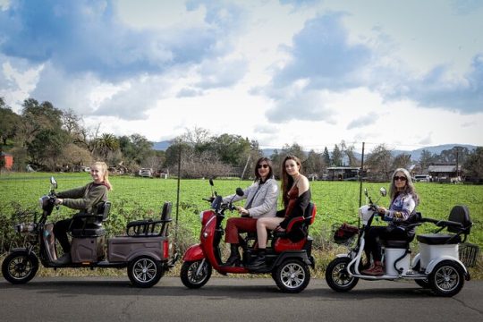 3 hr Guided Wine Country Tour in Sonoma on Electric Trike (2 person min)