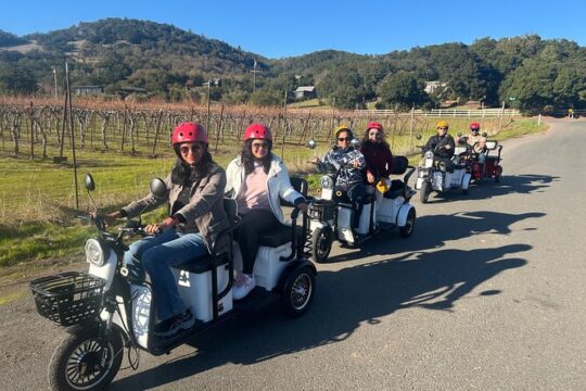 3 hr Guided Wine Country Tour in Sonoma on Electric Trike (2 person min)