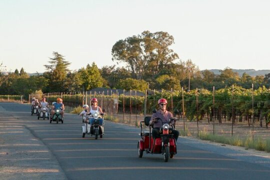 5 hr Guided Wine Country Tour in Sonoma on an Electric Trike