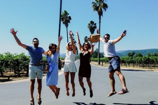 Napa Valley's Best Wine Tour w/ Local Expert