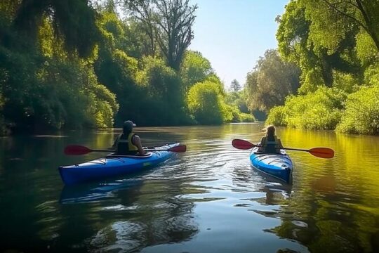 Water To Wine! Explore the renaissance of Downtown Napa by water