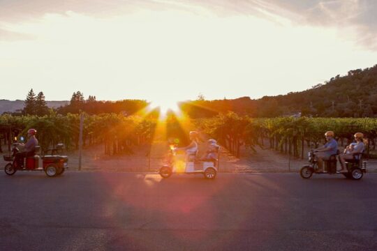 3 Hour Electric Trike Sunset Tour at Sonoma