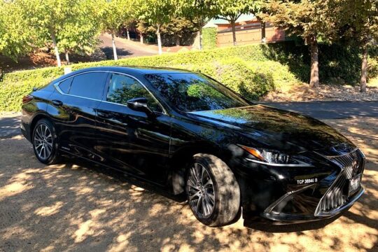 Winery and Vineyard Transportation in Private Black Sedan