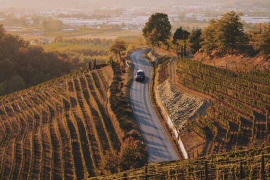 6-hour Private Luxury SUV Wine Tour in Napa Or Sonoma Valley